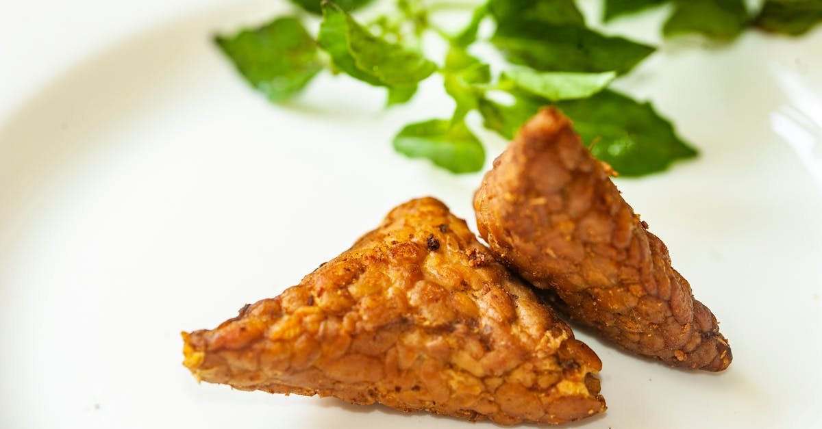 Tempeh na start: proste i pyszne przepisy dla początkujących